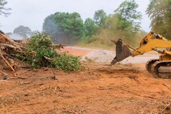 Ground Clearing - Ground Clearing Tuscaloosa, Alabama