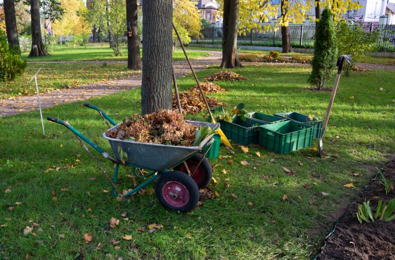 Bushes Clearing in Houston, TX