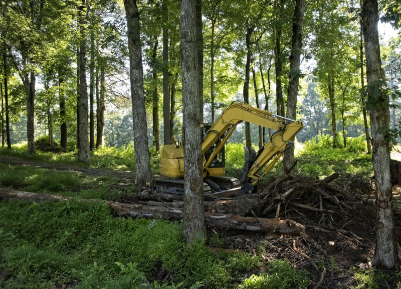 Efficient Land Clearing Machinery