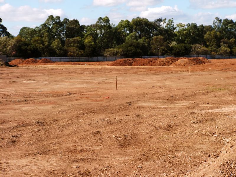 Cleared and Prepared Land