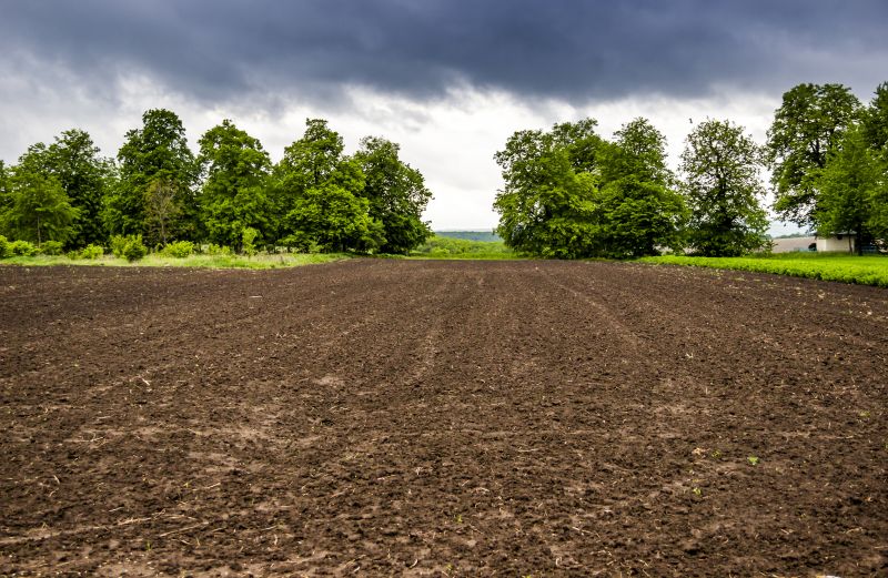 Terrain Clearing in Katy, TX