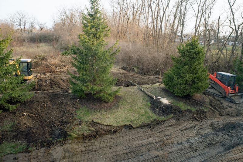Undergrowth Removal in Cumming, GA
