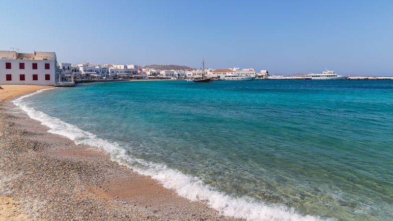 Project Coordination