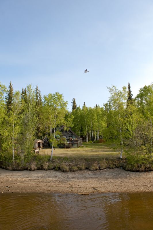 Land Clearing Experts